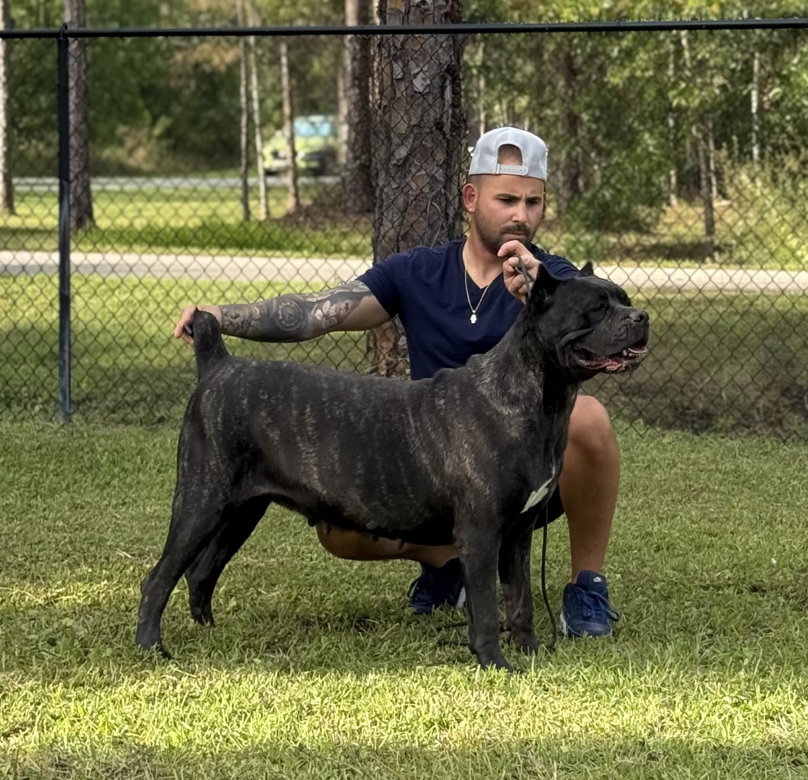 Nala